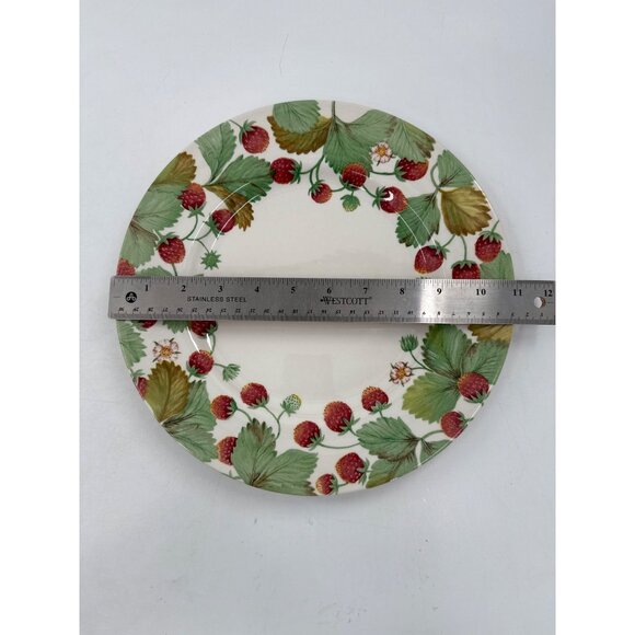 Royal Stafford Fine Earthenware Dinner  Plates Set Of 4 Wildberry Design 11” - Picture 6 of 6